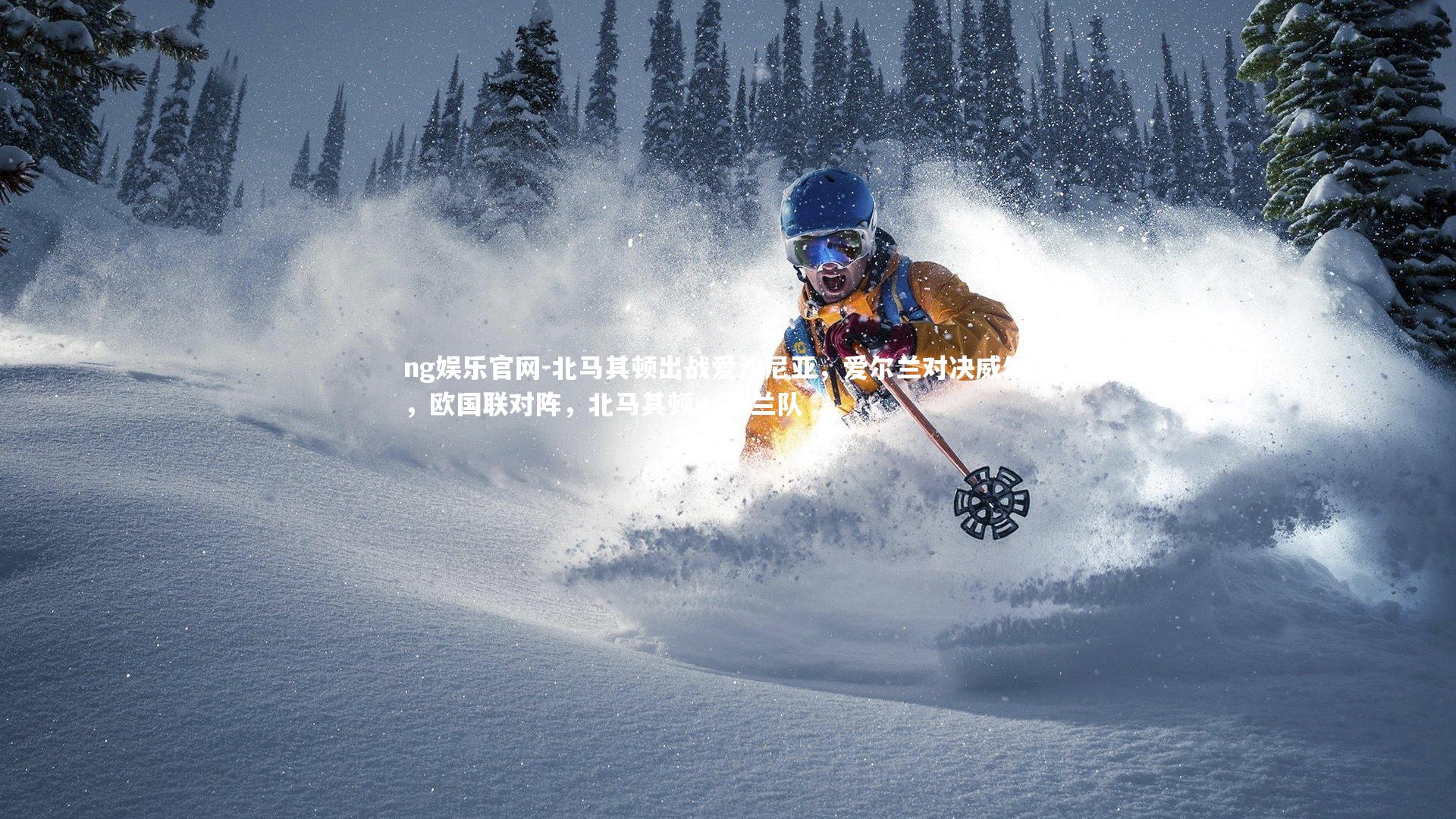 ng娱乐官网-北马其顿出战爱沙尼亚，爱尔兰对决威尔士，欧国联对阵，北马其顿vs荷兰队