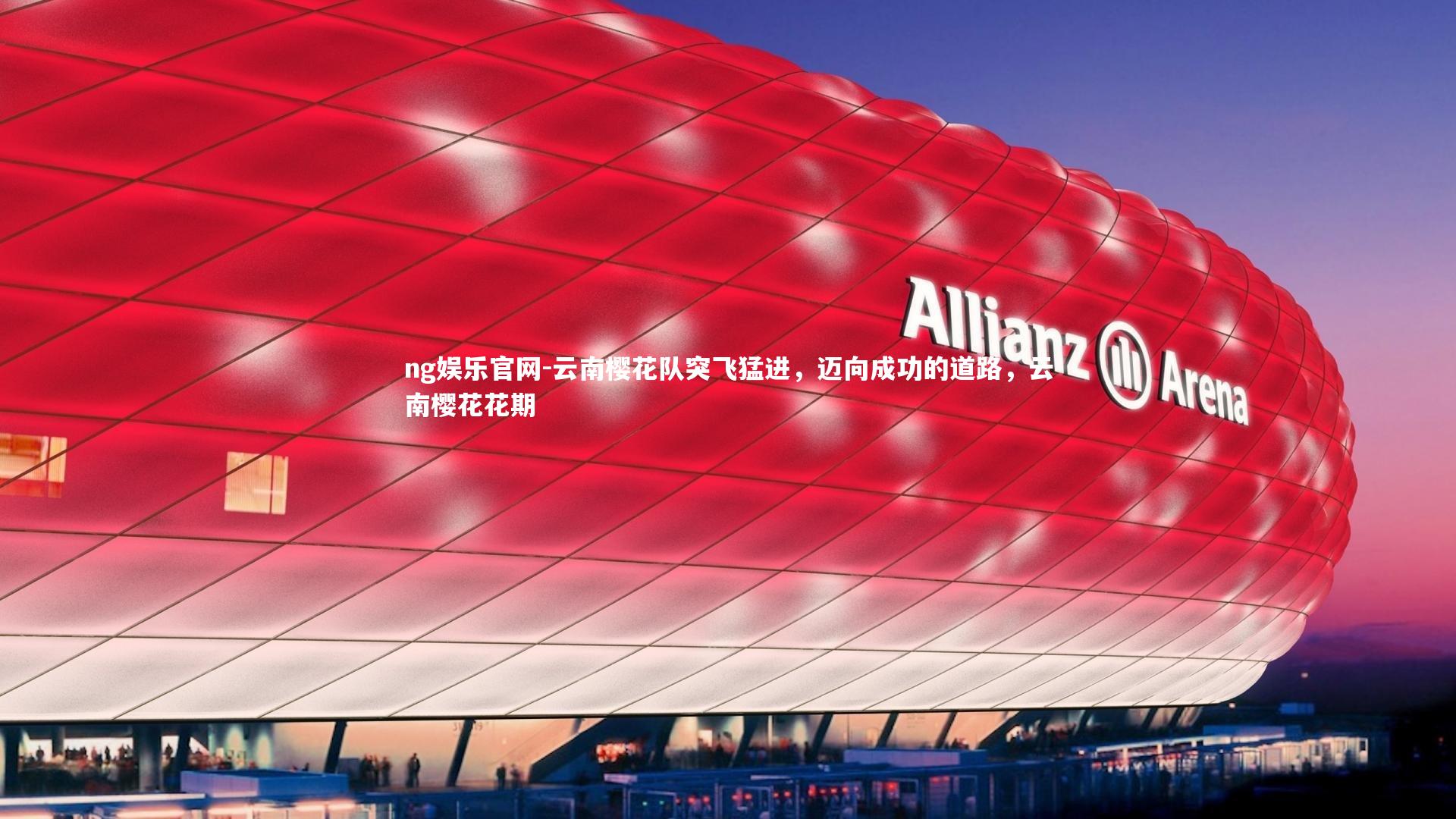 云南樱花队突飞猛进，迈向成功的道路，云南樱花花期